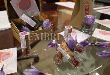 Tutto pronto per l'edizione 2025 della Mostra Mercato dello Zafferano di Cascia: il programma 10