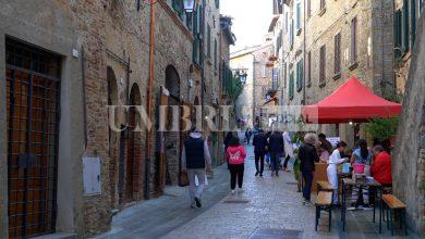 Montone celebra l’autunno con la 41ª Festa del Bosco 5