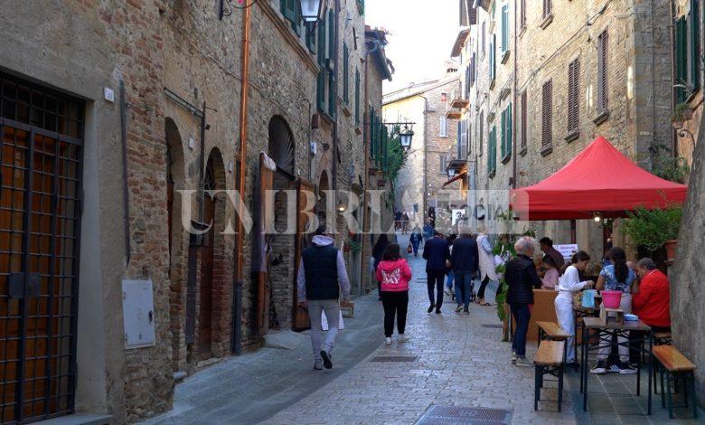 Montone celebra l’autunno con la 41ª Festa del Bosco 1