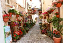 Spello riconferma il prestigioso Marchio di Qualità dell'Ambiente di Vita "Comune Fiorito" 11