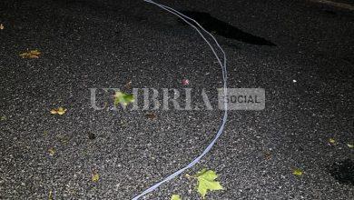 Maltempo nella provincia di Perugia: alberi caduti e automobilisti salvati dai Vigili del Fuoco (foto+video) 4