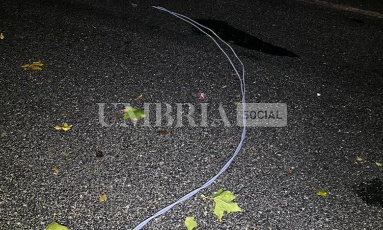 Maltempo nella provincia di Perugia: alberi caduti e automobilisti salvati dai Vigili del Fuoco (foto+video) 2 Maltempo nella provincia di Perugia: alberi caduti e automobilisti salvati dai Vigili del Fuoco (foto+video) 1