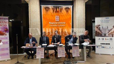 A Cascia la ventiquattresima mostra mercato dello zafferano 5 A Cascia la ventiquattresima mostra mercato dello zafferano 4