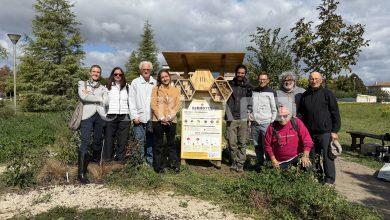 Un Bee Hotel per le api solitarie: Bastia Umbra accoglie un nuovo rifugio per gli insetti impollinatori 9