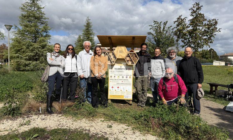 Un Bee Hotel per le api solitarie: Bastia Umbra accoglie un nuovo rifugio per gli insetti impollinatori 1