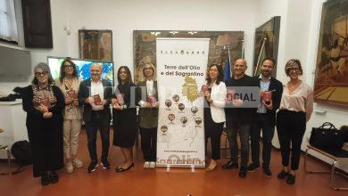 Presentato il progetto ‘Intrecci di terre e sapori’: il meglio delle Terre dell’Olio e del Sagrantino 10 Presentato il progetto ‘Intrecci di terre e sapori’: il meglio delle Terre dell’Olio e del Sagrantino 9