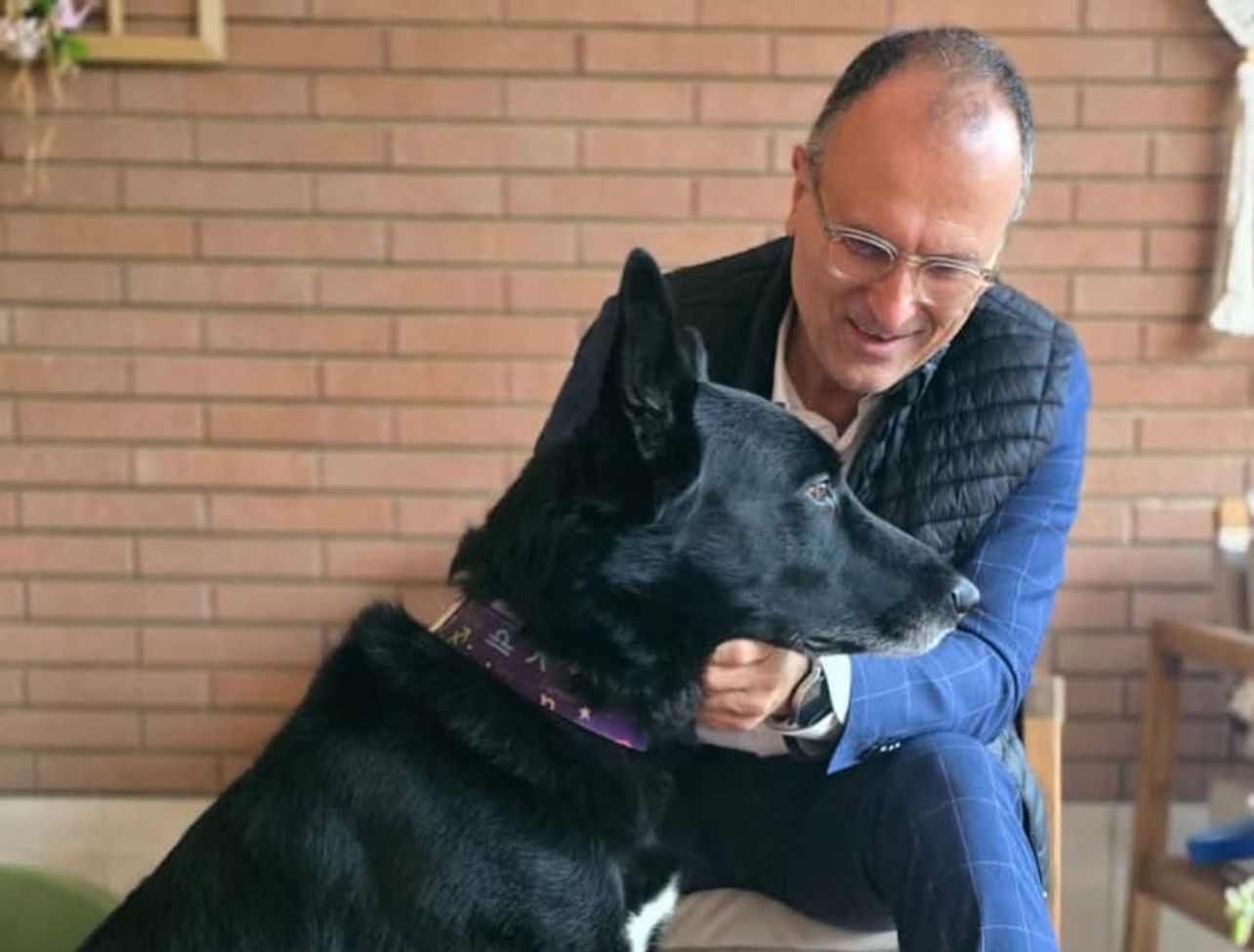 Bastia Umbra punta sul benessere animale: pronto un nuovo regolamento comunale 261