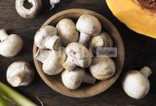 Autunno nel piatto: un viaggio tra Umbria e Lazio alla scoperta dei funghi 20 Autunno nel piatto: un viaggio tra Umbria e Lazio alla scoperta dei funghi 19