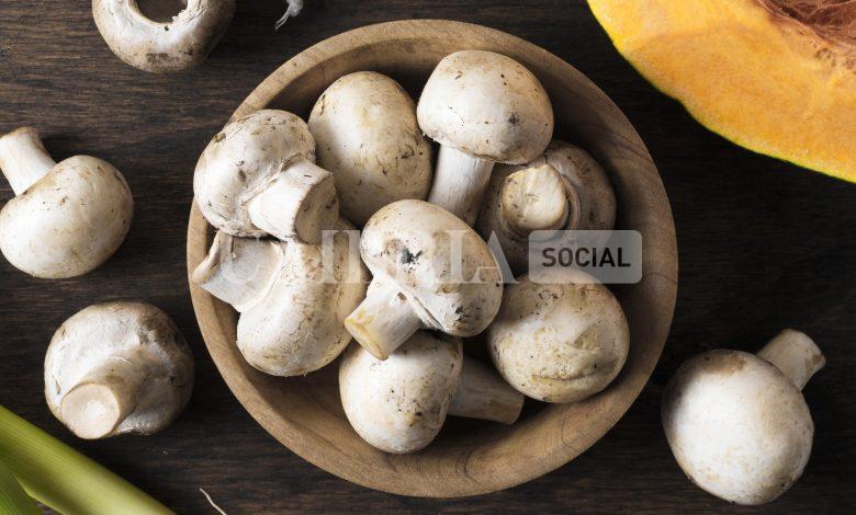 Autunno nel piatto: un viaggio tra Umbria e Lazio alla scoperta dei funghi 2 Autunno nel piatto: un viaggio tra Umbria e Lazio alla scoperta dei funghi 1