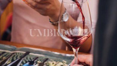 Borgo diVino in Tour 2025 fa tappa a Spello: tre giorni di gusto e bellezza nel cuore dell’Umbria 11