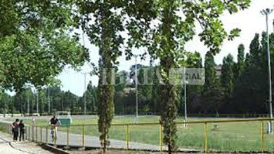 Fiera dei Morti: le associazioni chiedono la chiusura del percorso verde al traffico 9