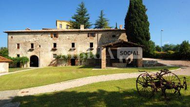 A Città di Castello il primo frutteto di antiche varietà locali del Centro Italia, pensato come spazio accessibile e inclusivo 6 A Città di Castello il primo frutteto di antiche varietà locali del Centro Italia, pensato come spazio accessibile e inclusivo 5