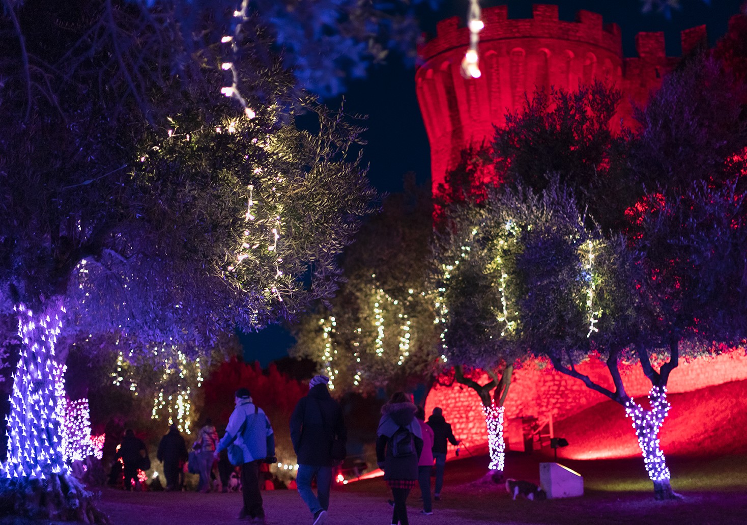 Luci sul Trasimeno 2025, il Natale delle meraviglie accende Castiglione del Lago 4 Luci sul Trasimeno 2025, il Natale delle meraviglie accende Castiglione del Lago 3