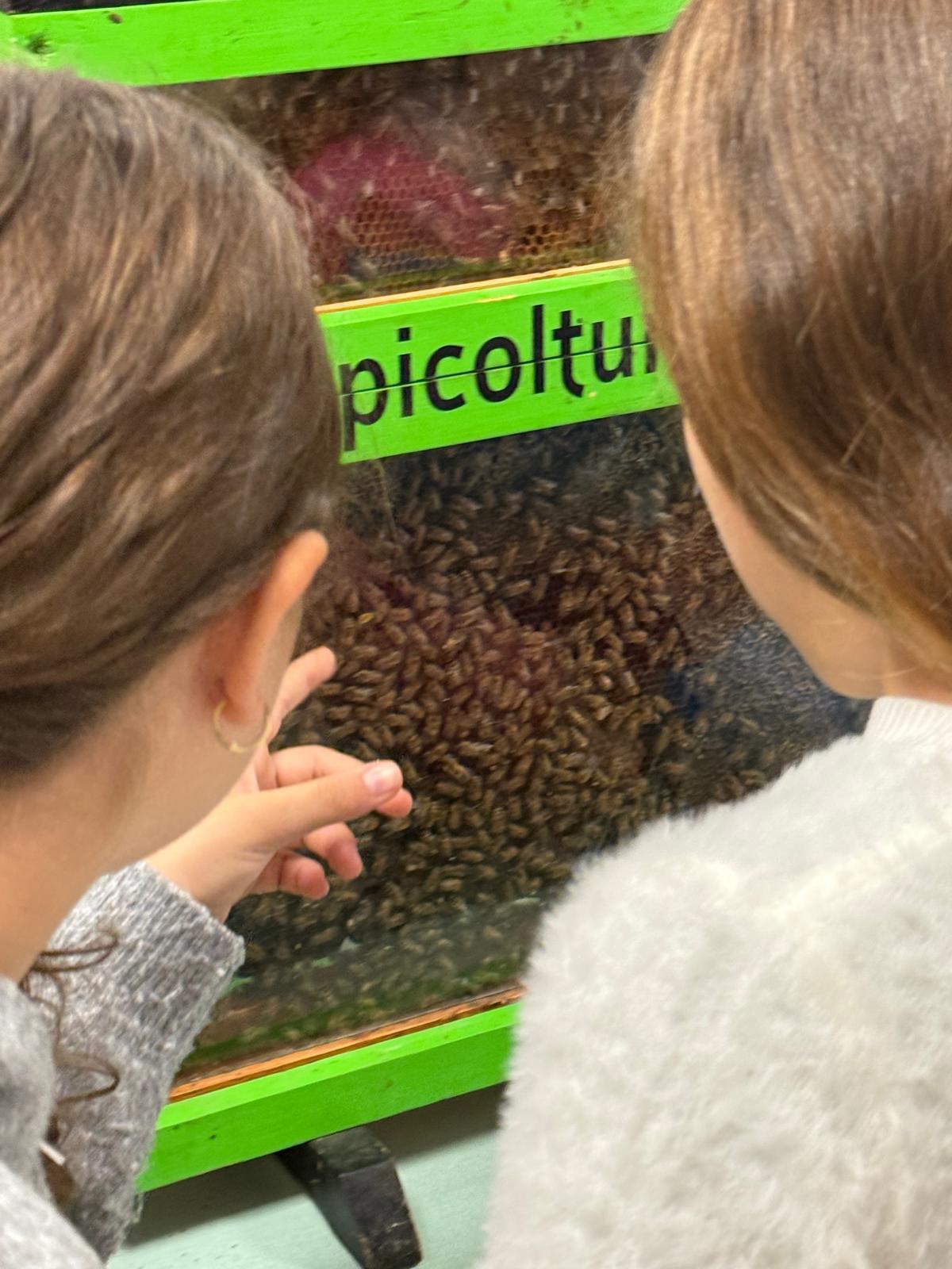 Natale a Corciano 2025: il borgo-presepio celebra le api e il Creato 6 Natale a Corciano 2025: il borgo-presepio celebra le api e il Creato 5