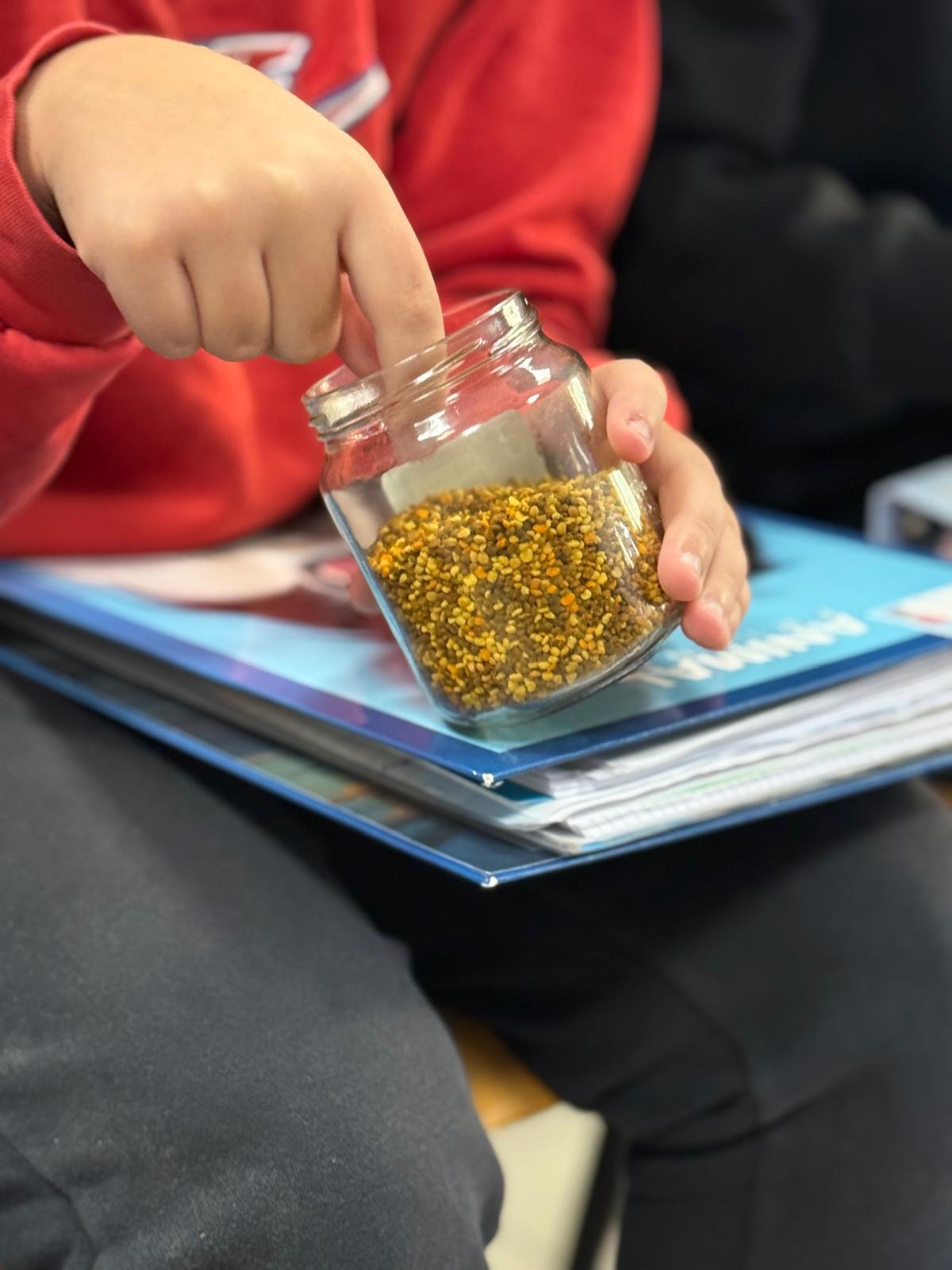 Natale a Corciano 2025: il borgo-presepio celebra le api e il Creato 10 Natale a Corciano 2025: il borgo-presepio celebra le api e il Creato 9