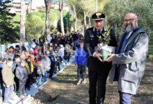 Giornata nazionale degli Alberi: 200 nuove piante messe a dimora dai Carabinieri Forestali in Umbria 21