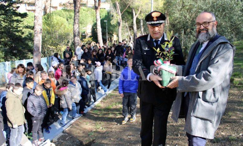 Giornata nazionale degli Alberi: 200 nuove piante messe a dimora dai Carabinieri Forestali in Umbria 1