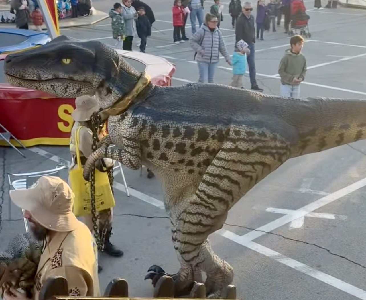 Festa del Bambino al via a Perugia: ai Baracconi sono arrivati i dinosauri (foto) 7