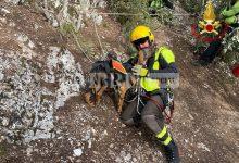 Cacciatori bloccati nella zona della Croce a Pale: intervento con elicottero dei Vigili del Fuoco (foto) 13