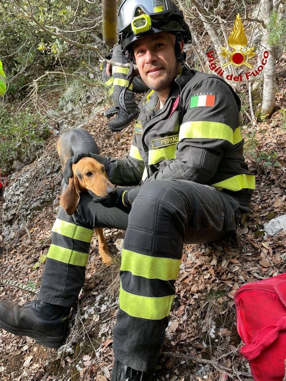 Cacciatori bloccati nella zona della Croce a Pale: intervento con elicottero dei Vigili del Fuoco (foto) 6 Cacciatori bloccati nella zona della Croce a Pale: intervento con elicottero dei Vigili del Fuoco (foto) 5