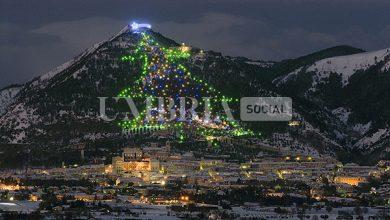 "Gubbio è Natale 2025", la magia dell’Albero più Grande del Mondo torna a illuminare l’Umbria 15