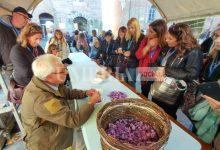 Zafferiamo Safaranum, partita con il piede giusto la nuova edizione dedicata all’oro rosso di Città della Pieve 13