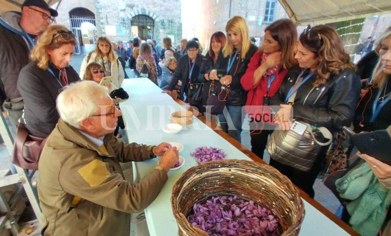 Zafferiamo Safaranum, partita con il piede giusto la nuova edizione dedicata all’oro rosso di Città della Pieve 1