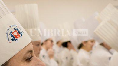 Quattro le cuoche professioniste dell'Umbria in finale al concorso nazionale "Extra Cuoca" 2025 3