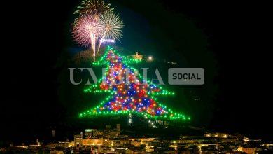 È stato acceso a Gubbio l'Albero di Natale più grande del mondo 11