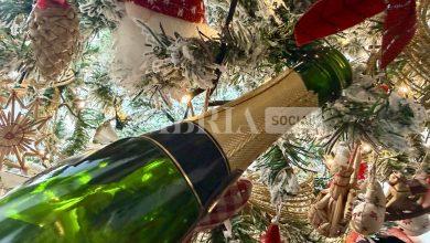 Capodanno sicuro in Umbria: ordinanze anti-botti in tutta la regione. Stop ad alcol, vetro e droni 16 Capodanno sicuro in Umbria: ordinanze anti-botti in tutta la regione. Stop ad alcol, vetro e droni 15