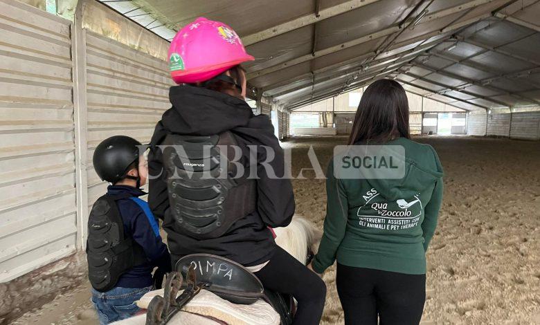 Scuderia Valmarino prima in Umbria certificata per gli interventi assistiti con animali 2 Scuderia Valmarino prima in Umbria certificata per gli interventi assistiti con animali 1