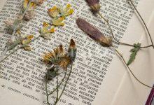 Todi apre l’undicesima edizione del concorso di poesia “La città che amo” 10