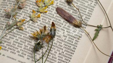 Todi apre l’undicesima edizione del concorso di poesia “La città che amo” 4 Todi apre l’undicesima edizione del concorso di poesia “La città che amo” 3