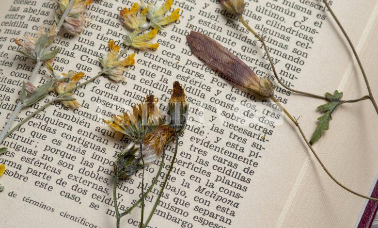 Todi apre l’undicesima edizione del concorso di poesia “La città che amo” 2 Todi apre l’undicesima edizione del concorso di poesia “La città che amo” 1