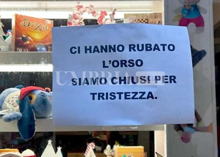 "Aiutateci a ritrovare orsetto": l'appello di un negozio del centro di Perugia 3