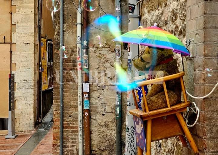 "Aiutateci a ritrovare orsetto": l'appello di un negozio del centro di Perugia 5