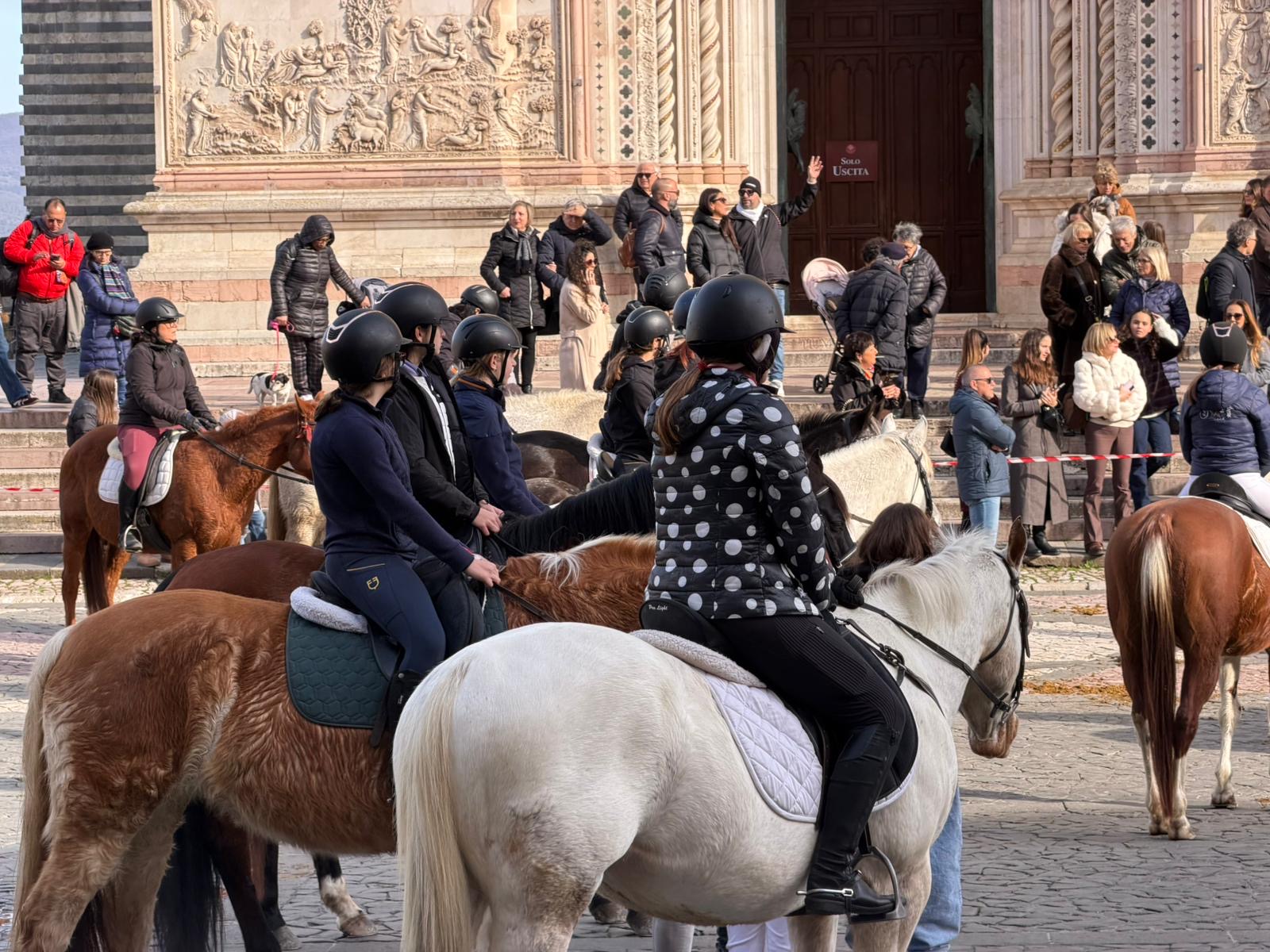 Orvieto, successo per la benedizione dei cavalli di Sant’Antonio Abate in Piazza Duomo (foto) 10 Orvieto, successo per la benedizione dei cavalli di Sant’Antonio Abate in Piazza Duomo (foto) 9