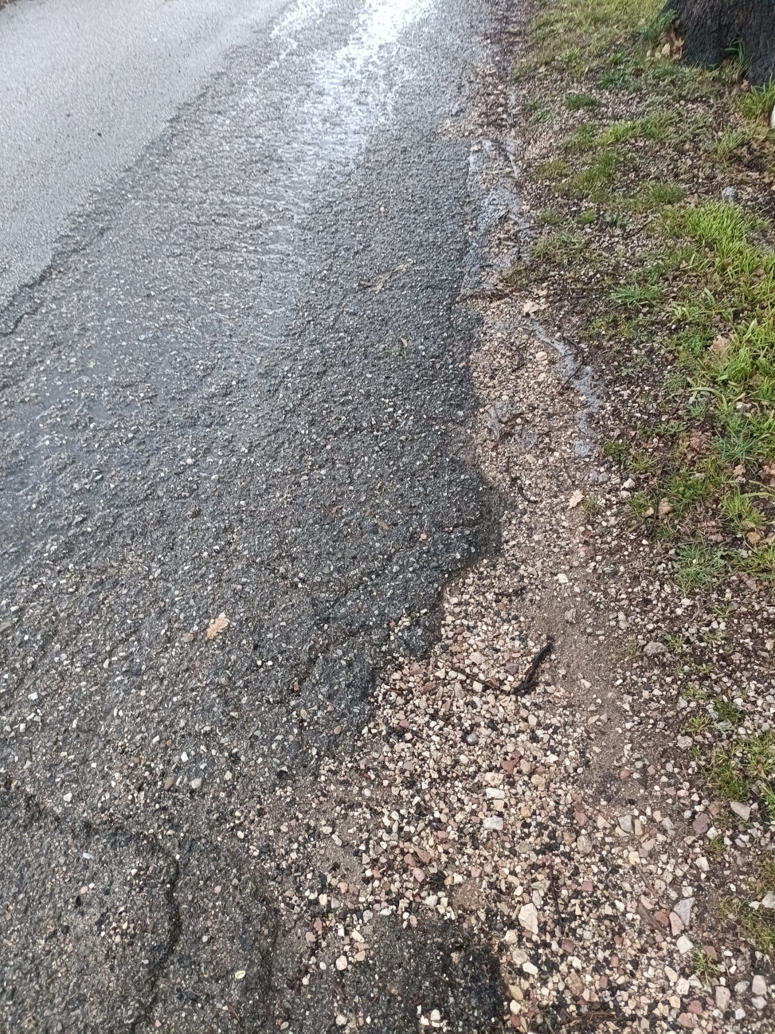 Assisi, “Sasso Rosso è la via mia”. E Fasulo va a vedere cosa non va: “Degrado totale” (foto) 7