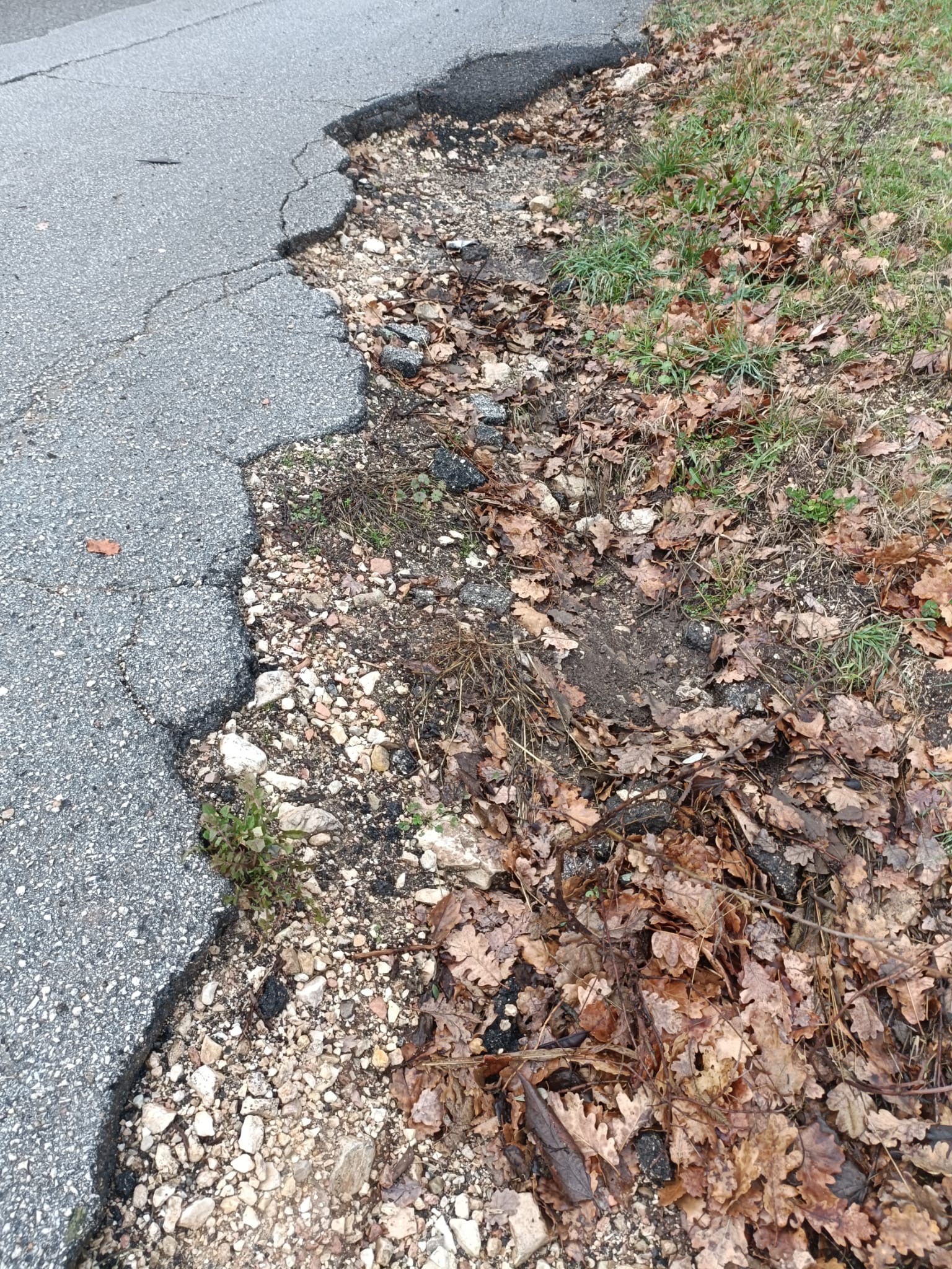 Assisi, “Sasso Rosso è la via mia”. E Fasulo va a vedere cosa non va: “Degrado totale” (foto) 17