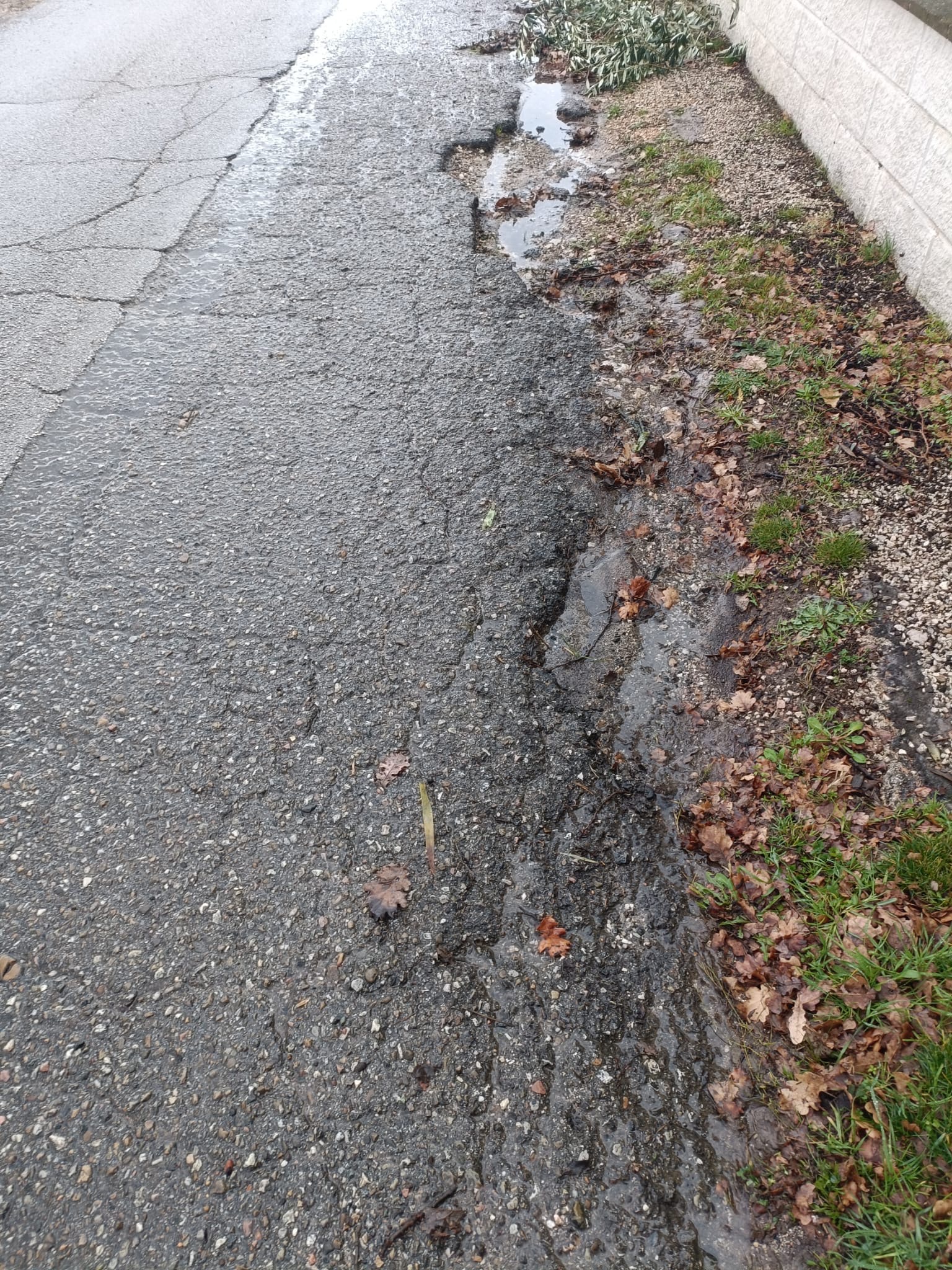 Assisi, “Sasso Rosso è la via mia”. E Fasulo va a vedere cosa non va: “Degrado totale” (foto) 19