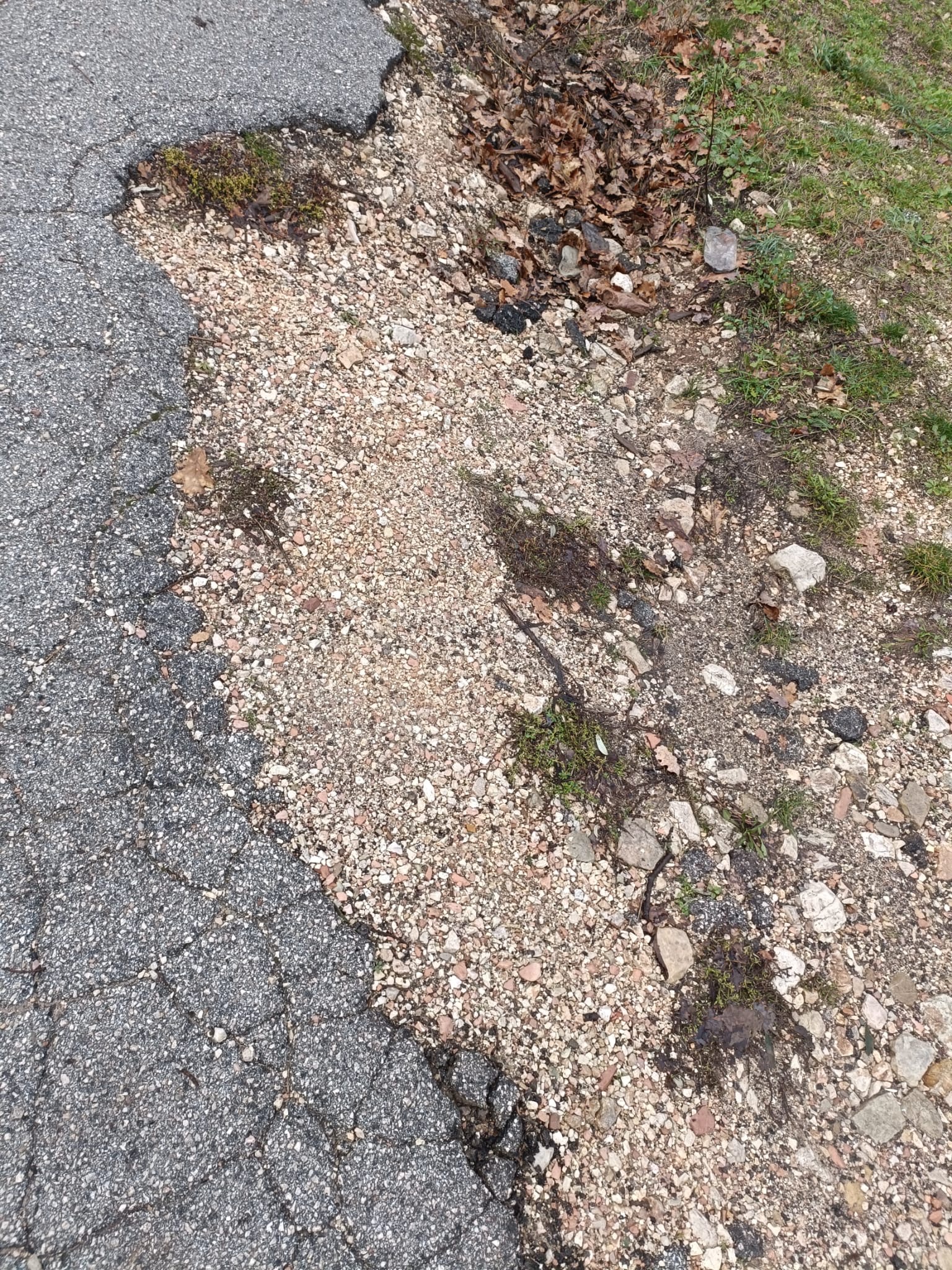 Assisi, “Sasso Rosso è la via mia”. E Fasulo va a vedere cosa non va: “Degrado totale” (foto) 21