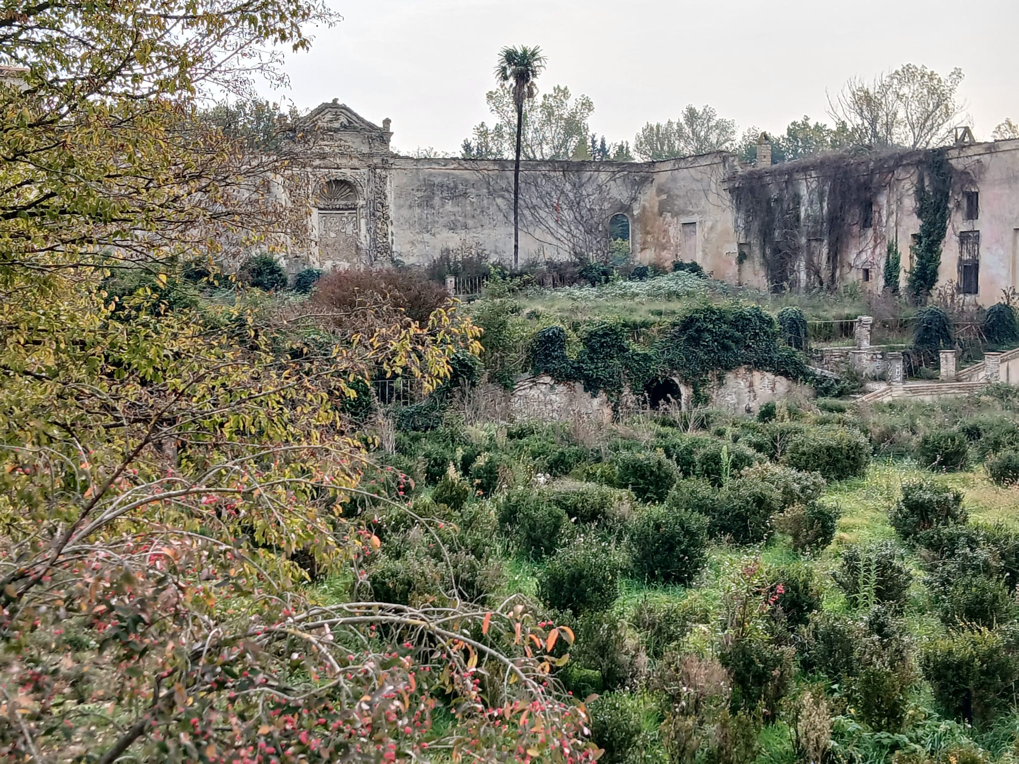 Luoghi da recuperare in Umbria: Bettona, quale futuro per Villa del Boccaglione? (foto) 16 Luoghi da recuperare in Umbria: Bettona, quale futuro per Villa del Boccaglione? (foto) 15