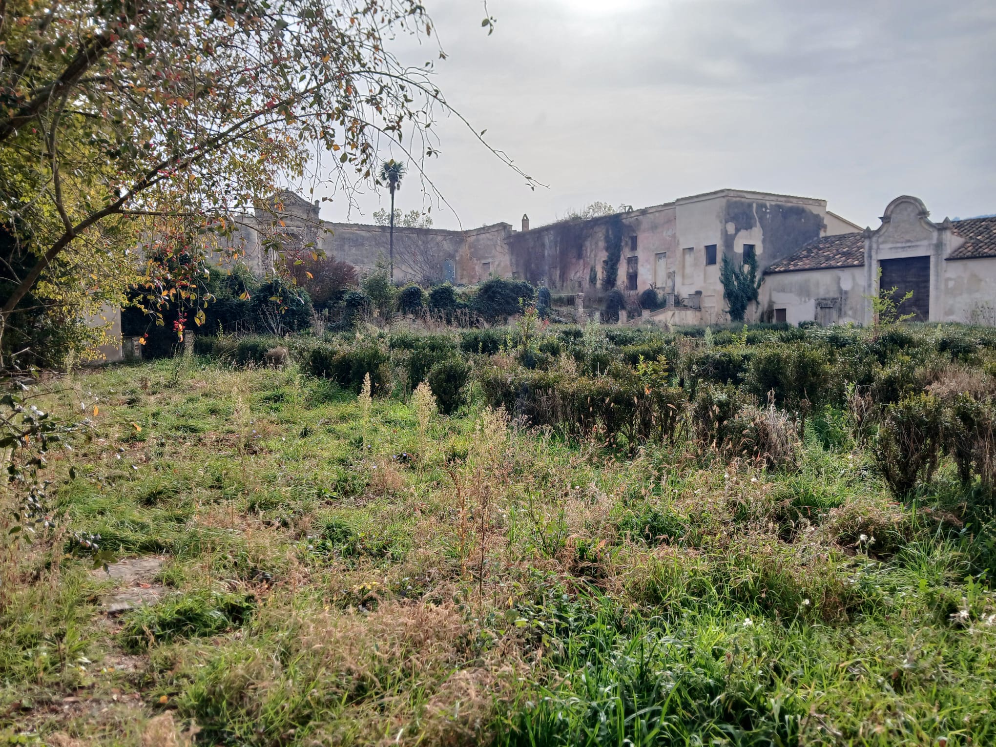 Luoghi da recuperare in Umbria: Bettona, quale futuro per Villa del Boccaglione? (foto) 36 Luoghi da recuperare in Umbria: Bettona, quale futuro per Villa del Boccaglione? (foto) 35