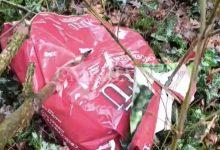 La discarica degli orrori a Sterpeto di Assisi: rinvenute carcasse di animali morti 14