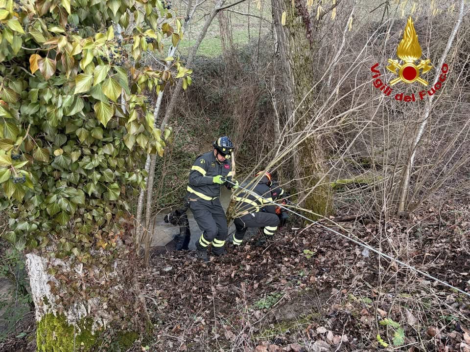 Nocera Umbra, cavalla salvata dai Vigili del Fuoco dopo una caduta nel fiume (foto+video) 8