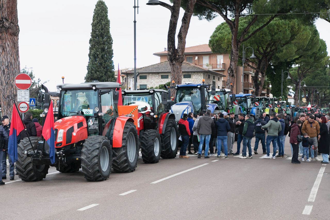 Festa degli Agricoltori, in tantissimi ad Assisi e Bastia Umbra (foto) 4 Festa degli Agricoltori, in tantissimi ad Assisi e Bastia Umbra (foto) 3