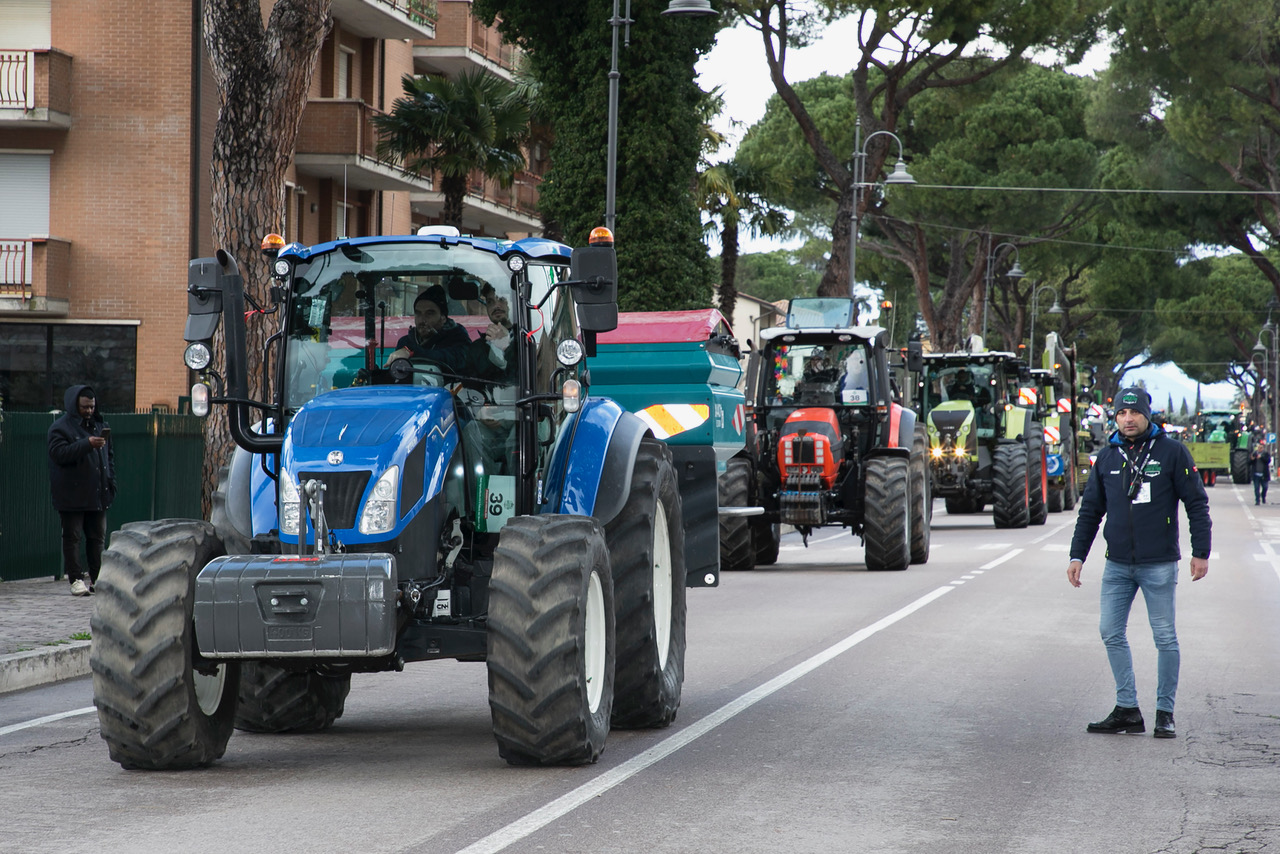 Festa degli Agricoltori, in tantissimi ad Assisi e Bastia Umbra (foto) 50 Festa degli Agricoltori, in tantissimi ad Assisi e Bastia Umbra (foto) 49
