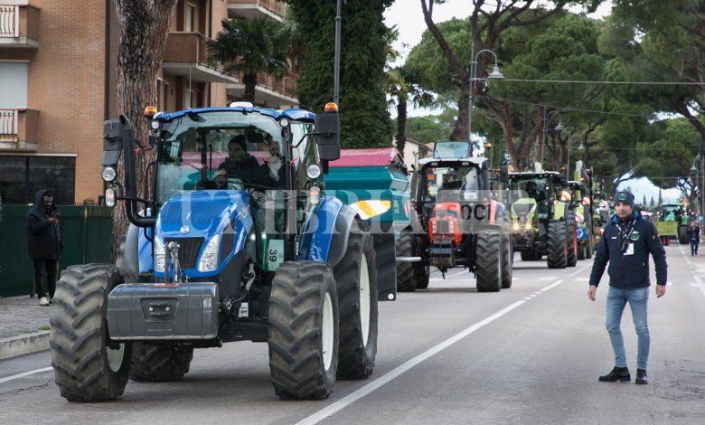 Festa degli Agricoltori, in tantissimi ad Assisi e Bastia Umbra (foto) 2 Festa degli Agricoltori, in tantissimi ad Assisi e Bastia Umbra (foto) 1