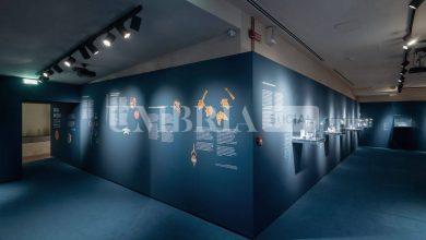 Etruschi a Bettona, oltre alla mostra tanti gli eventi in programma fino a fine maggio 106 Etruschi a Bettona, oltre alla mostra tanti gli eventi in programma fino a fine maggio 105