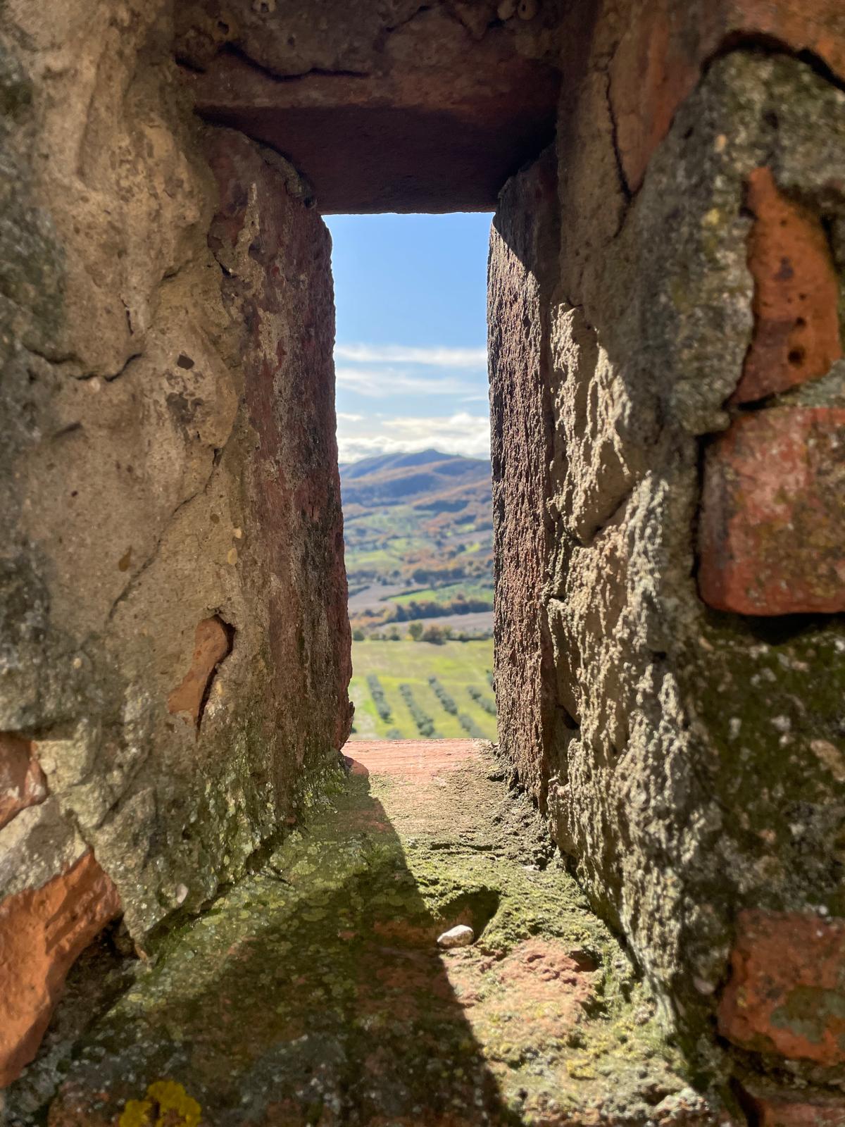 Monte Castello di Vibio diventa laboratorio artistico: al via le residenze MCDV Art Academy "Terra di Luce" 52 Monte Castello di Vibio diventa laboratorio artistico: al via le residenze MCDV Art Academy "Terra di Luce" 51